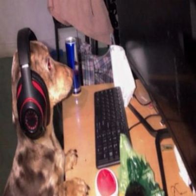 JIM LEGXACY STAYS IN HIS OWN LANE,&nbsp;AGAIN