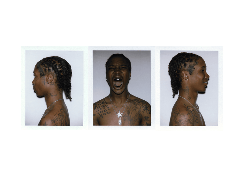 ‘EMOTIONS’ FINDS NINE VICIOUS REFINING HIS&nbsp;CHAOS